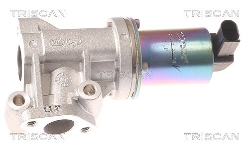 Triscan AGR-Ventil [Hersteller-Nr. 881343001] für Hyundai, Kia