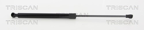 Triscan Gasfeder, Koffer-/Laderaum [Hersteller-Nr. 871025273] für Renault
