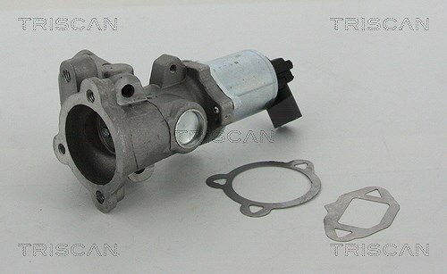 Triscan AGR-Ventil [Hersteller-Nr. 881315052] für Fiat, Ford, Lancia