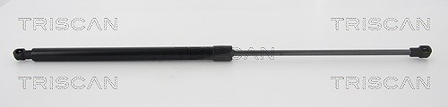 Triscan Gasfeder, Heckscheibe [Hersteller-Nr. 871038244] für Citroën, Peugeot