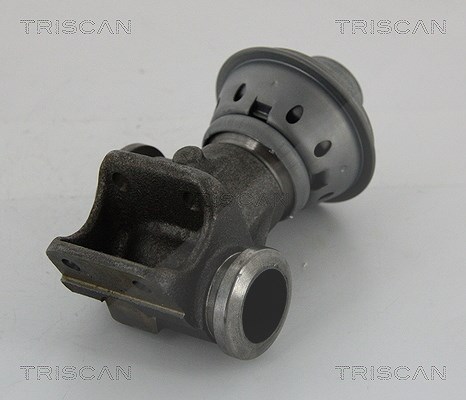 Triscan AGR-Ventil [Hersteller-Nr. 881328013] für Citroën, Fiat, Peugeot
