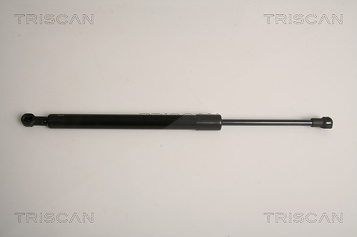 Triscan Gasfeder, Koffer-/Laderaum [Hersteller-Nr. 871011231] für BMW