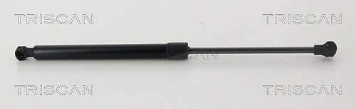 Triscan Gasfeder, Koffer-/Laderaum [Hersteller-Nr. 871028247] für Peugeot
