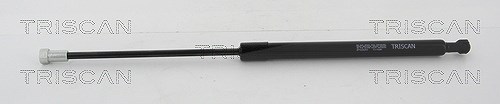 Triscan Gasfeder, Koffer-/Laderaum [Hersteller-Nr. 871028293] für Peugeot