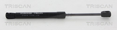 Triscan Gasfeder, Koffer-/Laderaum [Hersteller-Nr. 871020105] für Porsche