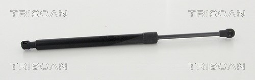 Triscan Gasfeder, Koffer-/Laderaum [Hersteller-Nr. 871011240] für BMW