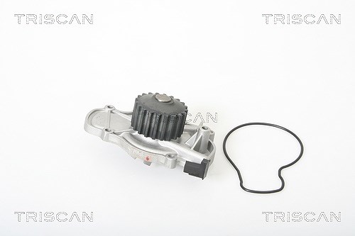 Triscan Wasserpumpe [Hersteller-Nr. 860040979] für Honda, Rover