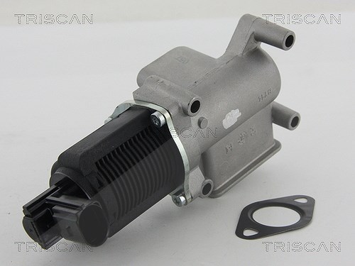 Triscan AGR-Ventil [Hersteller-Nr. 881315063] für Fiat