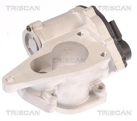 Triscan AGR-Ventil [Hersteller-Nr. 881325012] für Renault, Suzuki