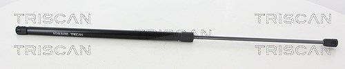 Triscan Gasfeder, Koffer-/Laderaum [Hersteller-Nr. 871038246] für Citroën