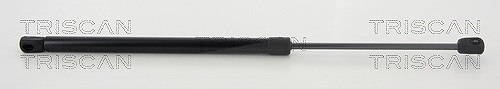 Triscan Gasfeder, Koffer-/Laderaum [Hersteller-Nr. 8710292042] für Seat