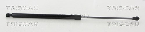 Triscan Gasfeder, Koffer-/Laderaum [Hersteller-Nr. 871038248] für Citroën