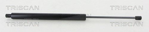 Triscan Gasfeder, Koffer-/Laderaum [Hersteller-Nr. 871016273] für Ford