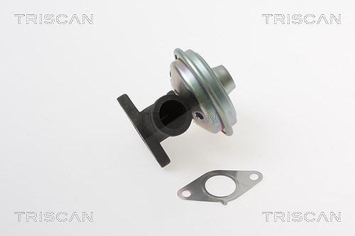 Triscan AGR-Ventil [Hersteller-Nr. 881328017] für Citroën, Peugeot