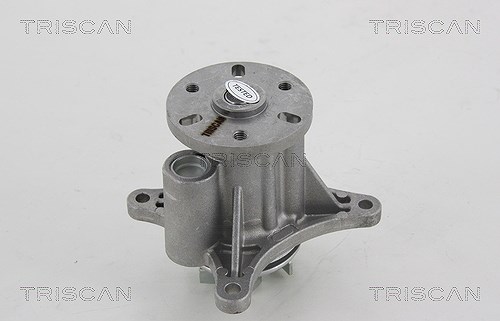 Triscan Wasserpumpe [Hersteller-Nr. 860028022] für Peugeot, Citroën