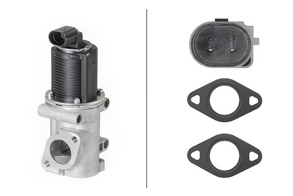 Hella AGR-Ventil [Hersteller-Nr. 6NU010171-541] für Alfa Romeo, Opel, Vauxhall, Fiat, Saab