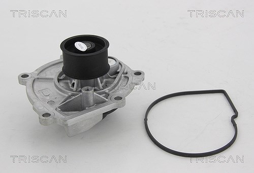 Triscan Wasserpumpe [Hersteller-Nr. 860080009] für Jeep, Chrysler, Dodge