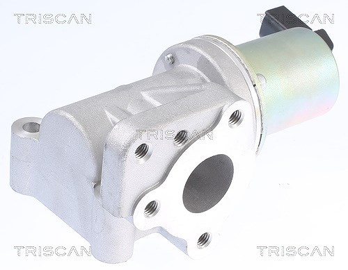 Triscan AGR-Ventil [Hersteller-Nr. 881343015] für Hyundai
