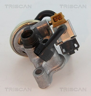Triscan AGR-Ventil [Hersteller-Nr. 881323005] für Mercedes-Benz