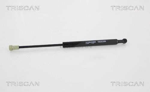 Triscan Gasfeder, Koffer-/Laderaum [Hersteller-Nr. 871038226] für Citroën