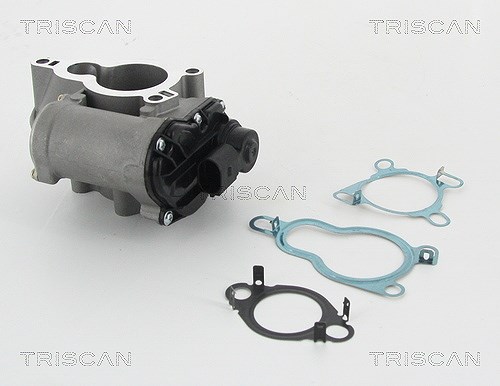 Triscan AGR-Ventil [Hersteller-Nr. 881325010] für Renault, Opel