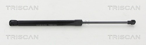 Triscan Gasfeder, Koffer-/Laderaum [Hersteller-Nr. 871015256] für Fiat