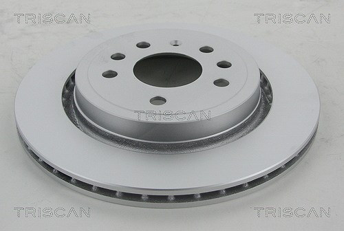 Triscan 1x Bremsscheibe Hinterachse Belüftet [Hersteller-Nr. 812024146C] für Chevrolet, Cadillac, Fiat, Vauxhall, Opel, Saab