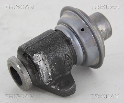 Triscan AGR-Ventil [Hersteller-Nr. 881325006] für Renault