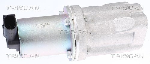 Triscan AGR-Ventil [Hersteller-Nr. 881343009] für Hyundai, Kia
