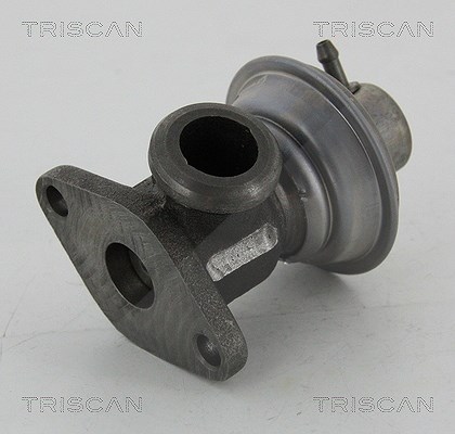Triscan AGR-Ventil [Hersteller-Nr. 881325011] für Renault