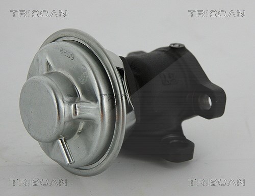 Triscan AGR-Ventil [Hersteller-Nr. 881343022] für Kia, Hyundai
