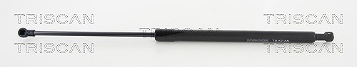 Triscan Gasfeder, Koffer-/Laderaum [Hersteller-Nr. 871025266] für Renault
