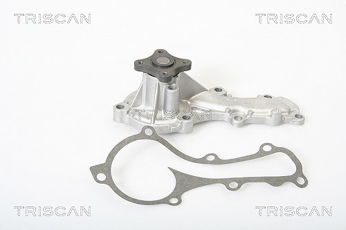 Triscan Wasserpumpe [Hersteller-Nr. 860014013] für Nissan