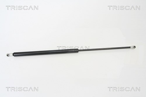 Triscan Gasfeder, Koffer-/Laderaum [Hersteller-Nr. 871025228] für Renault