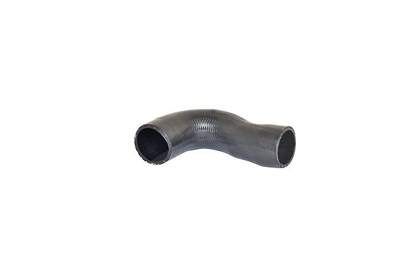 Bugiad Ladeluftschlauch [Hersteller-Nr. 87602] für Skoda, VW