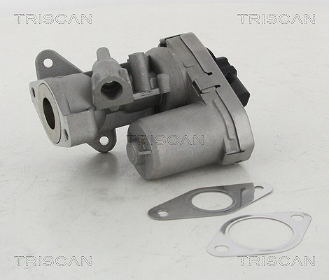 Triscan AGR-Ventil [Hersteller-Nr. 881310002] für Peugeot, Fiat, Citroën, Ford, Land Rover