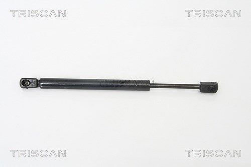 Triscan Gasfeder, Koffer-/Laderaum [Hersteller-Nr. 871029259] für Audi