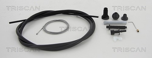 Triscan Gaszug [Hersteller-Nr. 814010314] für Citroën