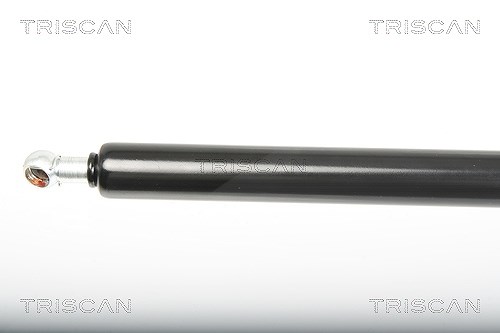 Triscan Gasfeder, Koffer-/Laderaum [Hersteller-Nr. 871025246] für Renault