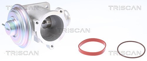 Triscan AGR-Ventil [Hersteller-Nr. 881311003] für BMW