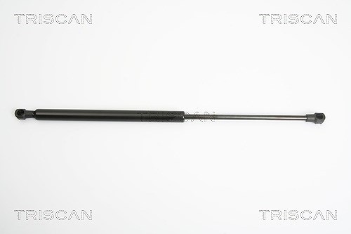 Triscan Gasfeder, Koffer-/Laderaum [Hersteller-Nr. 871025234] für Renault