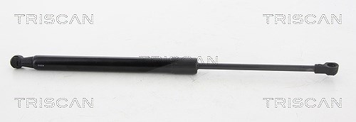 Triscan Gasfeder, Koffer-/Laderaum [Hersteller-Nr. 871038231] für Citroën