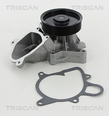 Triscan Wasserpumpe [Hersteller-Nr. 860011030] für BMW