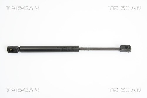 Triscan Gasfeder, Koffer-/Laderaum [Hersteller-Nr. 871043225] für Hyundai