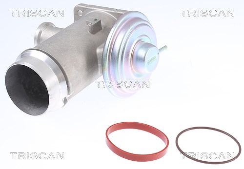 Triscan AGR-Ventil [Hersteller-Nr. 881311102] für BMW