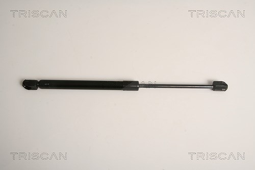 Triscan Gasfeder, Koffer-/Laderaum [Hersteller-Nr. 871011234] für Mini