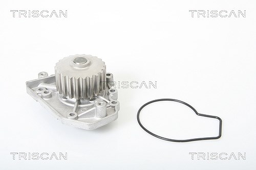 Triscan Wasserpumpe [Hersteller-Nr. 860040010] für Honda