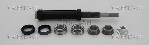 Triscan Reparatursatz, Querlenker [Hersteller-Nr. 850038401] für Citroën