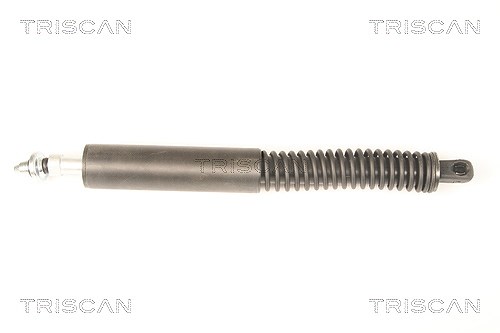 Triscan Gasfeder, Koffer-/Laderaum [Hersteller-Nr. 871038228] für Citroën