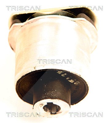 Triscan Lagerung, Achskörper [Hersteller-Nr. 850065834] für Saab